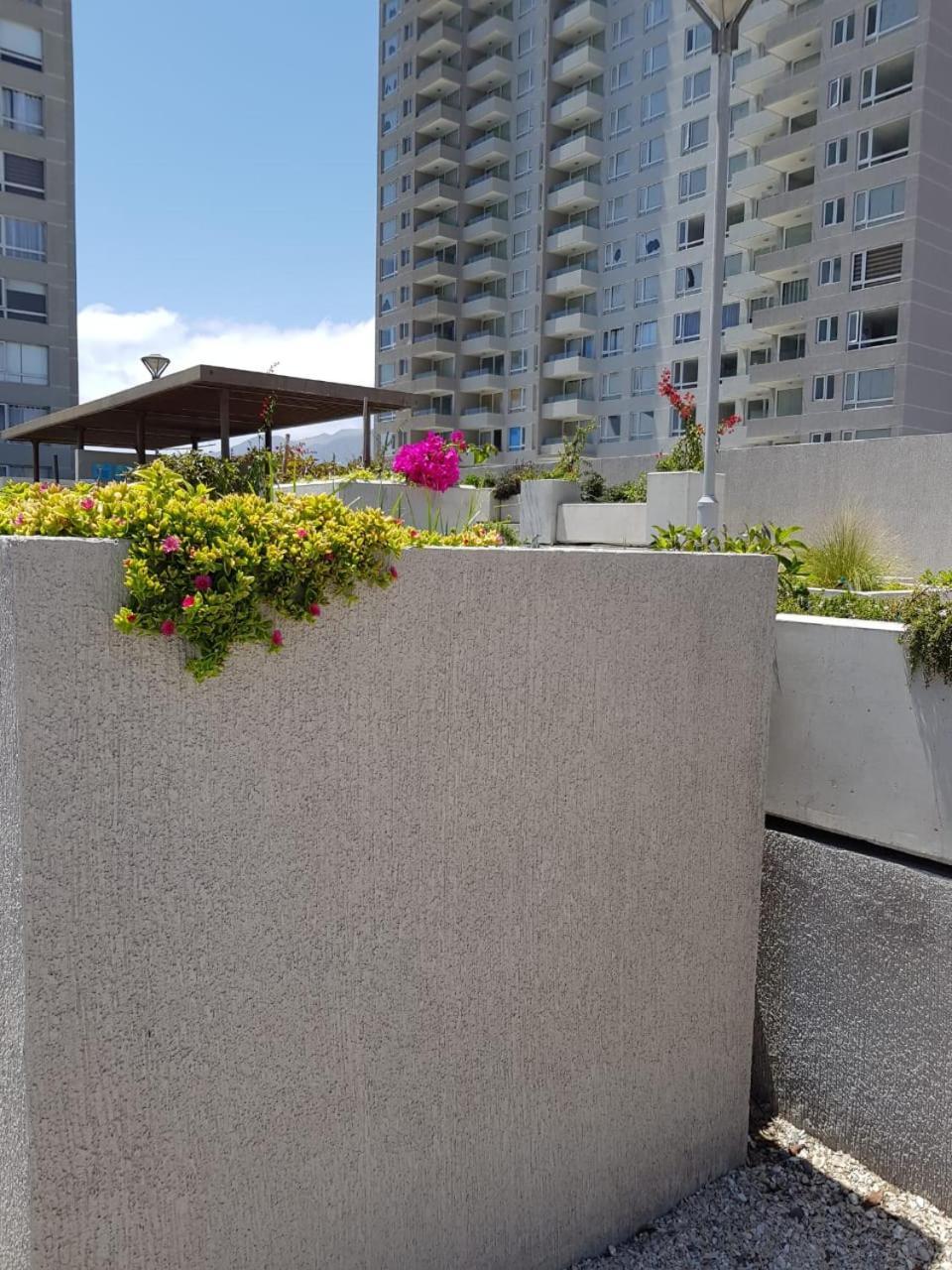 Hermoso Departamento Con Vista Al Mar Antofagasta Eksteriør bilde